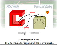 Electromagnetic Induction Lab